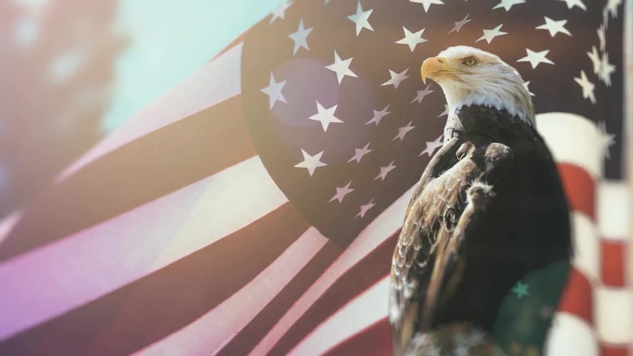 Eagle in front of an American flag