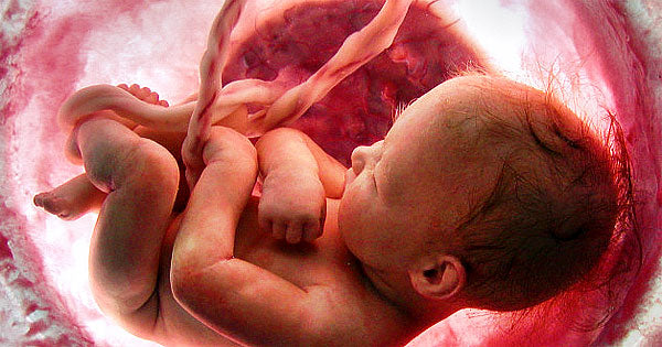Abortion: Does Love (REALLY) Win?